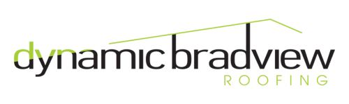 Dynamic Bradview Roofing